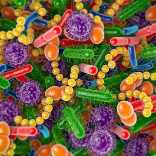 Suoliston mikrobiston tasapaino